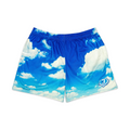 Baseball Lifestyle Dream Chaser Shorts Adult front view