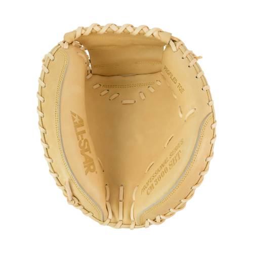 Pro Elite 34 in Catchers Mitt
