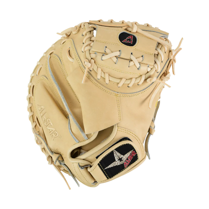 Pro Elite 34 in Catchers Mitt