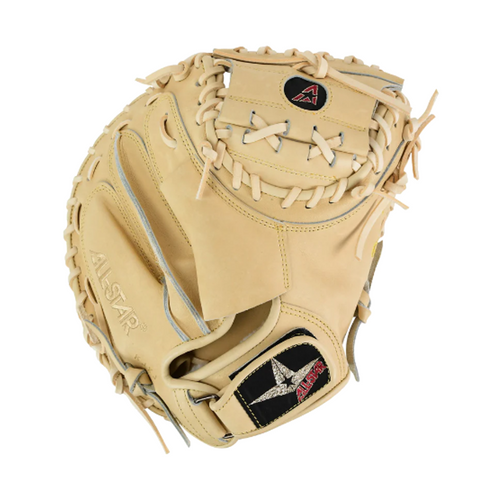 Pro Elite 34 in Catchers Mitt