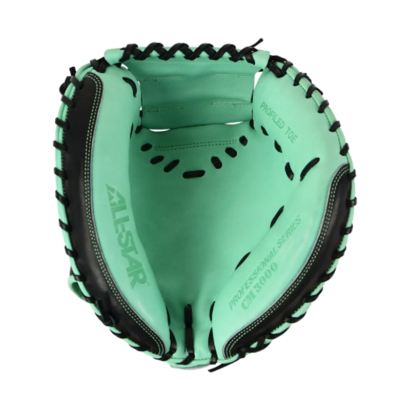 Pro Elite 34 in Catchers Mitt