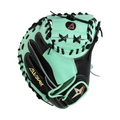 Pro Elite 34 in Catchers Mitt