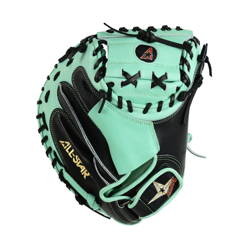 Pro Elite 34 in Catchers Mitt