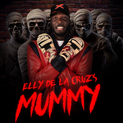 Absolutely Ridiculous Mummy Sliding Mitt