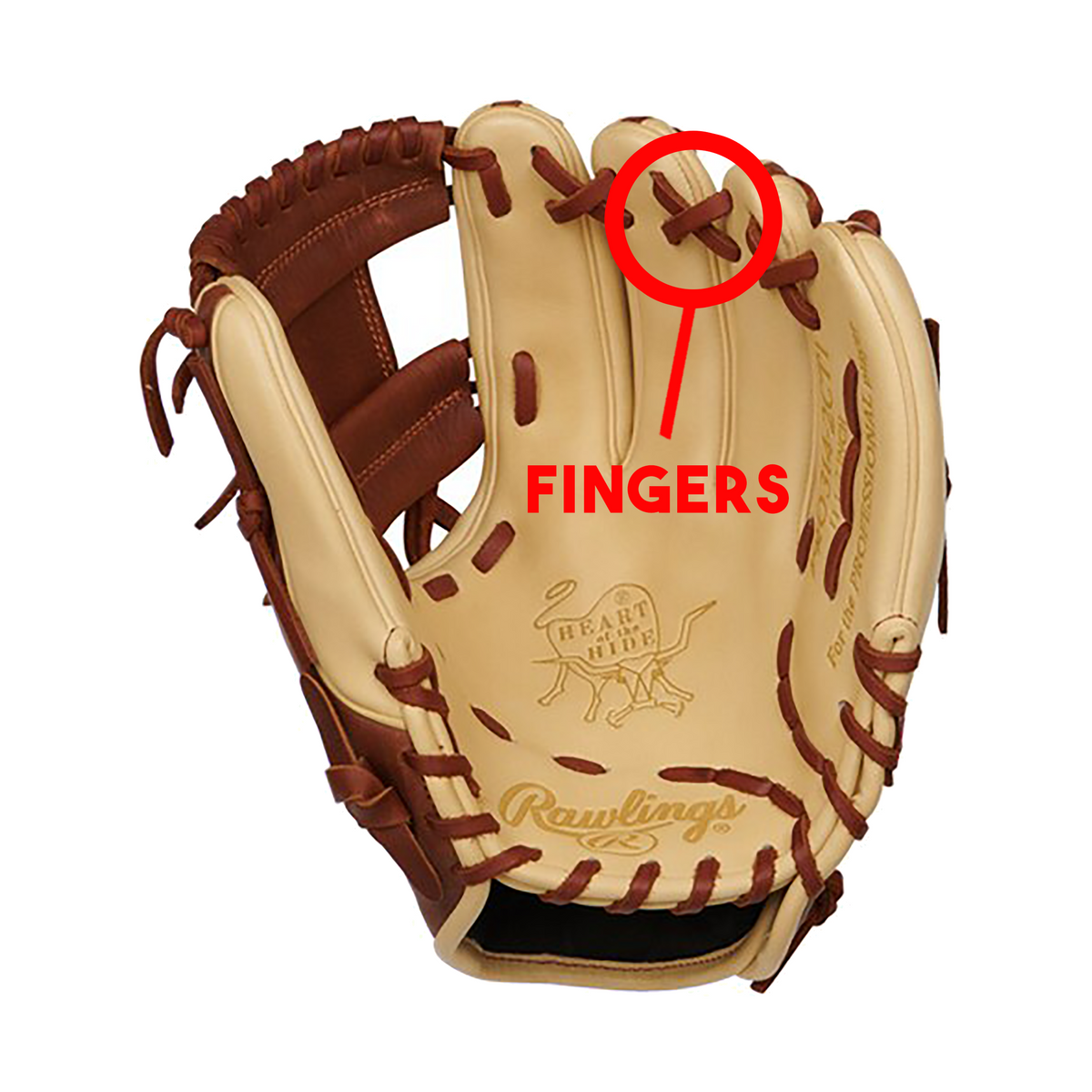 Fingers
