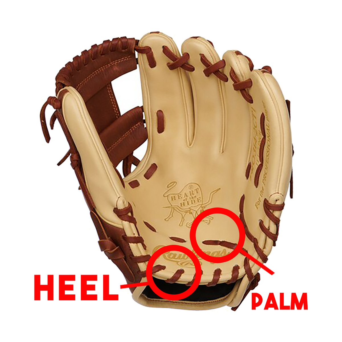Palm & Heel
