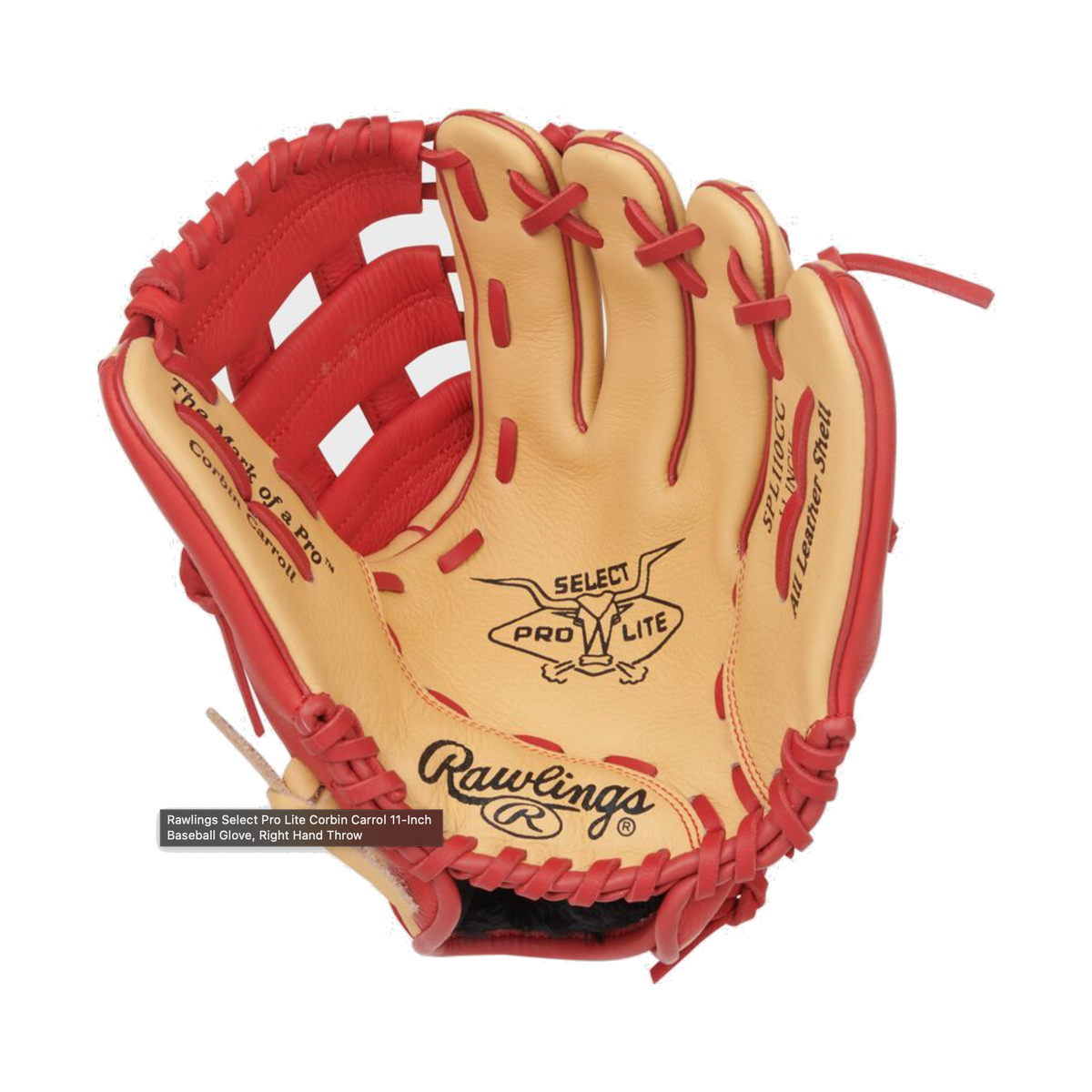 Select Pro Light SOL110CC 11 in